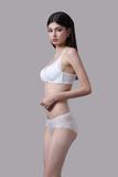 Quần lót bikini nữ Vera ren phối lưới - V0604