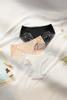 Quần lót bikini nữ Vera microfiber phối ren - V0720