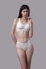Quần lót hipster nữ Misaki cotton spandex - M1062