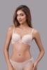 Áo ngực cup 3/4 Vera nylon mút vừa có gọng - V0752