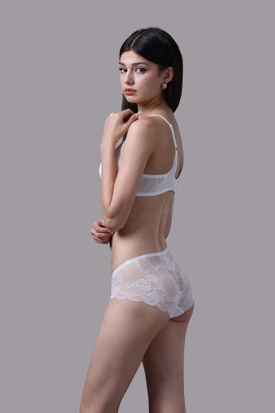 Quần lót bikini nữ Vera ren phối lưới - V0604