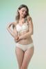 Quần lót bikini nữ Misaki seamless - M1056