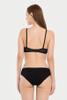 Quần lót Bikini nữ Vera Cotton 4C phối ren - V0596